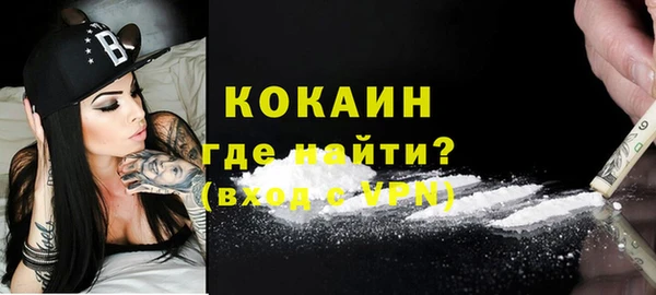 мяу мяу мука Белокуриха