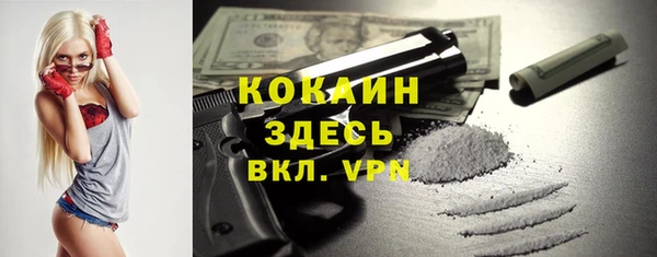 мяу мяу мука Белокуриха