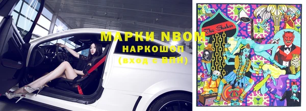мяу мяу мука Белокуриха
