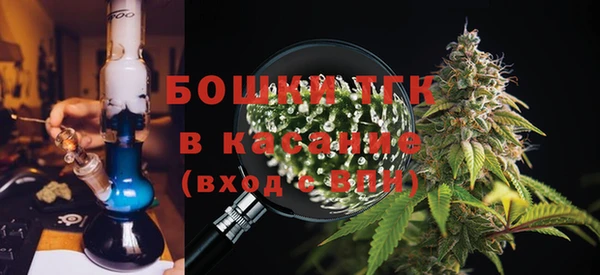 мяу мяу мука Белокуриха