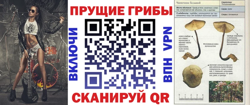 Галлюциногенные грибы Cubensis  Кудрово 
